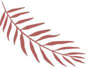 Palmeira