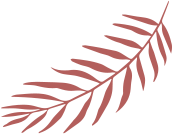 Palmeira