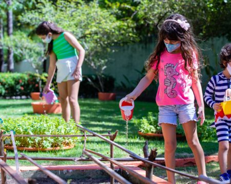 Summy’s vegetable garden