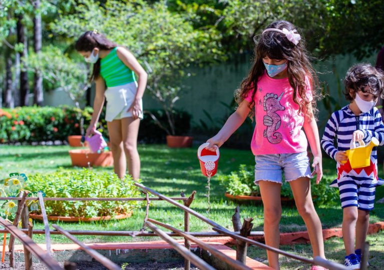 Summy’s vegetable garden