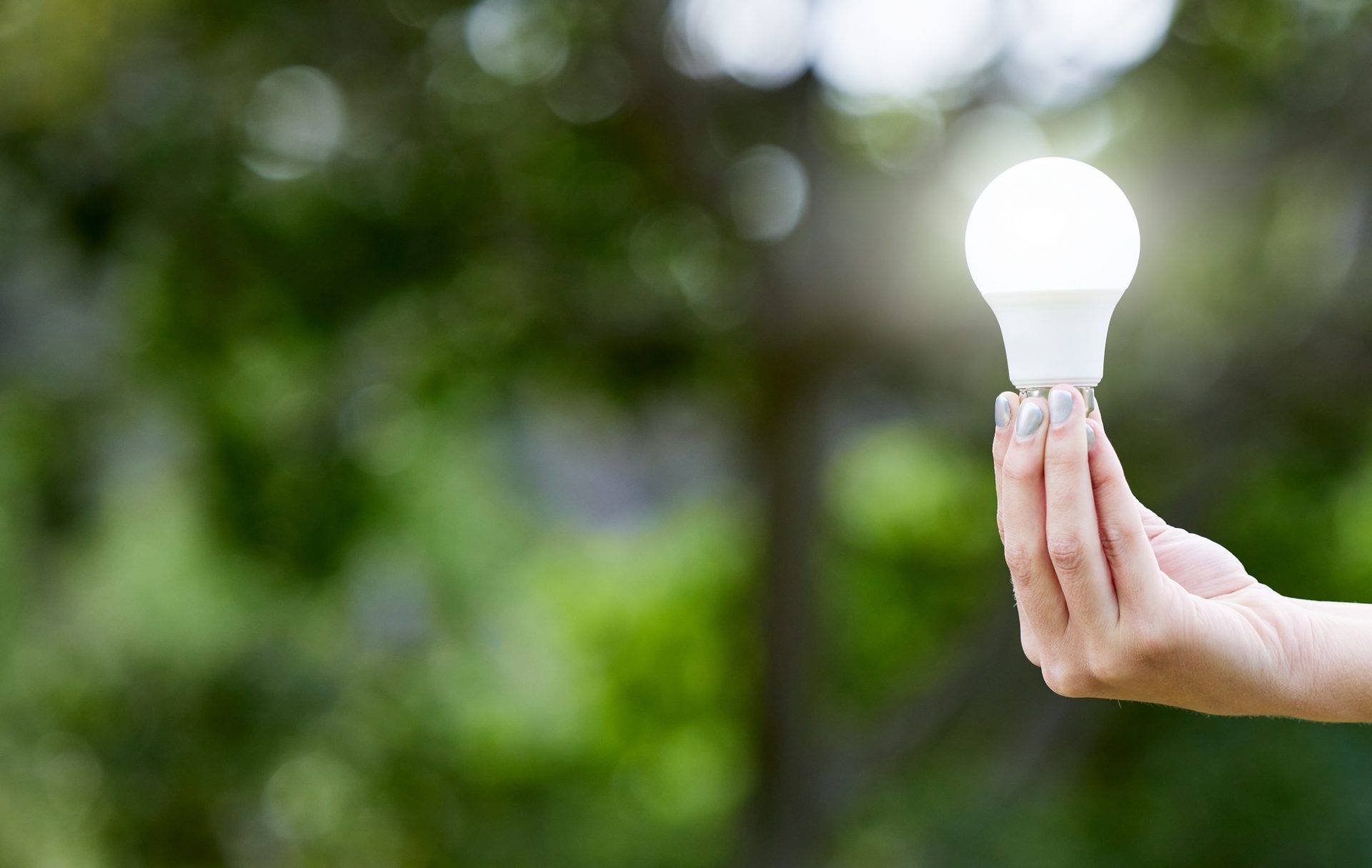 nature-hand-lightbulb-knowledge-energy-sustainability-with-solar-power-creative-innovation-person-with-bulb-eco-friendly-electricity-green-solution-inspiration-with-mockup