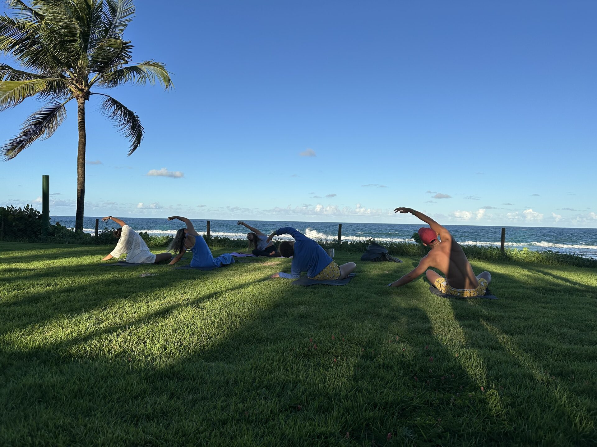 Summer Wellness